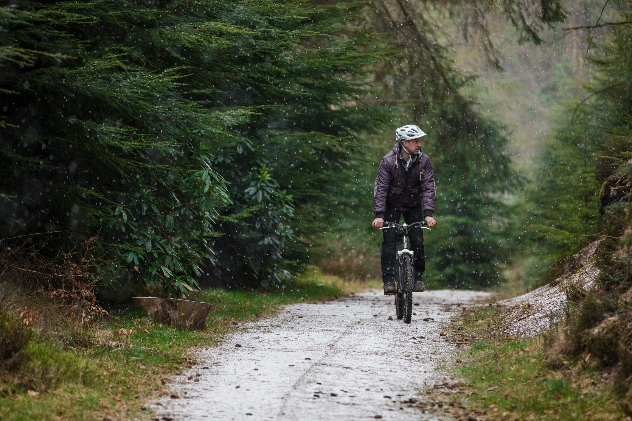 Mountain biker on a forest path representing mountain biking services