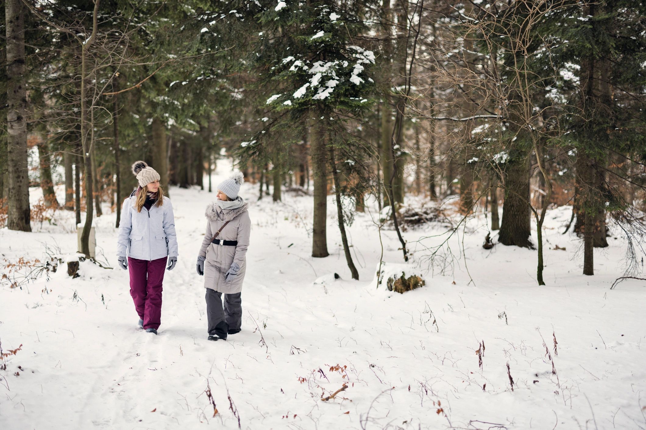 People walking in snowy forest representing snowshoeing and cross-country skiing