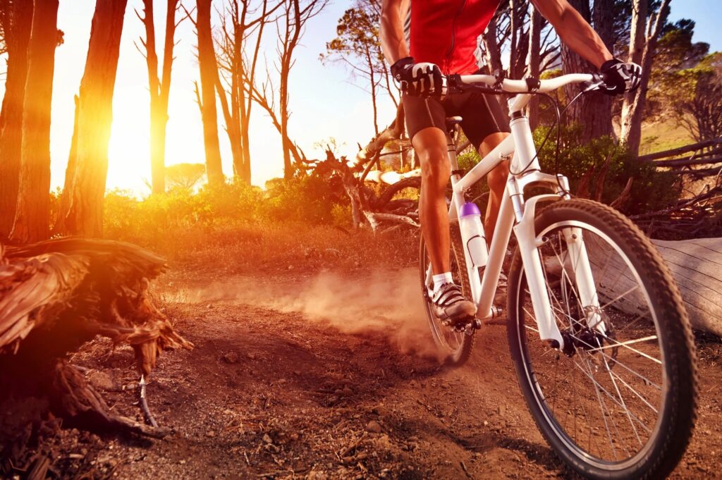 mountain bike stock