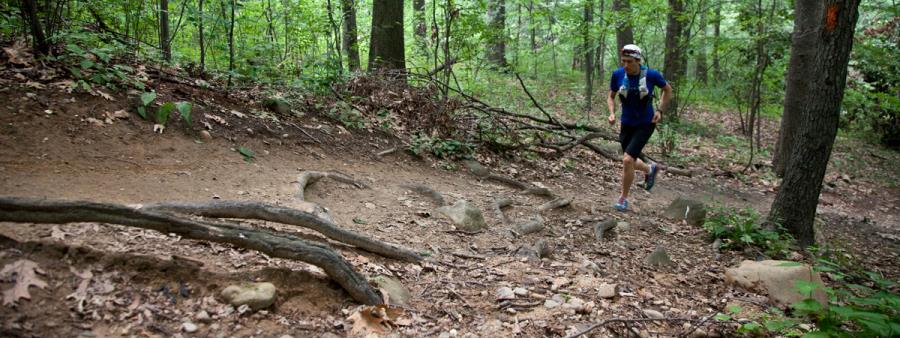 new-york-city-forest-park-dirty-dozen-50k-ultra-trail-race